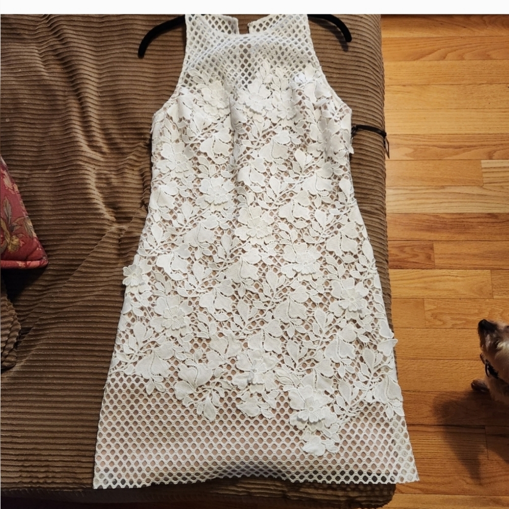 Beautiful Designer Dress NWT!